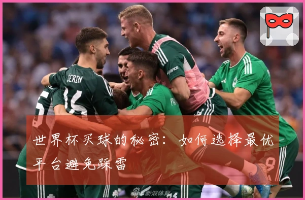世界杯买球的秘密：如何选择最优平台避免踩雷