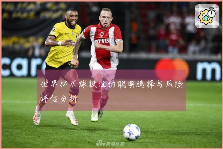 世界杯买球投注的聪明选择与风险评估分析