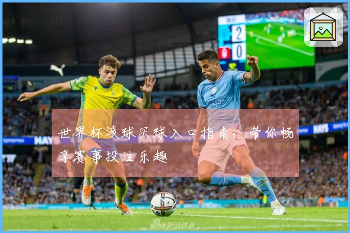 世界杯滚球买球入口指南，带你畅享赛事投注乐趣