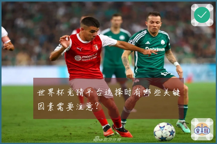 世界杯竞猜平台选择时有哪些关键因素需要注意？