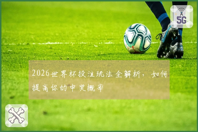 2026世界杯投注玩法全解析，如何提高你的中奖概率