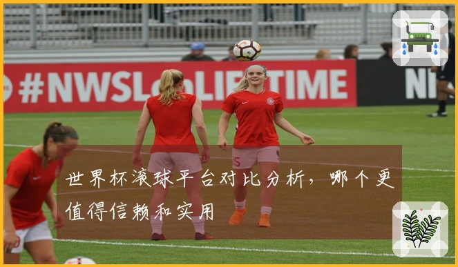 世界杯滚球平台对比分析，哪个更值得信赖和实用
