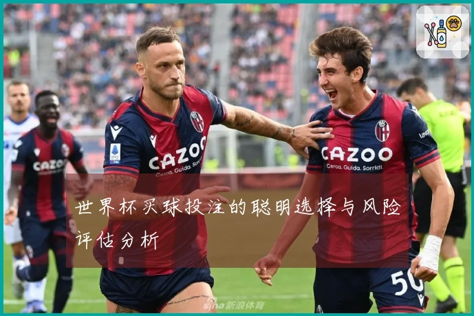 世界杯买球投注的聪明选择与风险评估分析