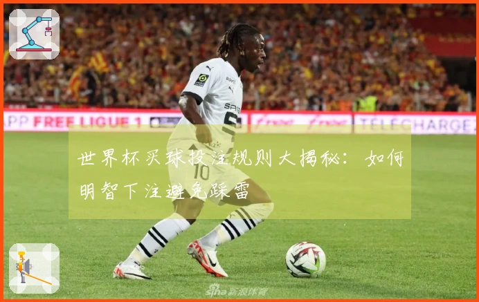 世界杯买球投注规则大揭秘：如何明智下注避免踩雷