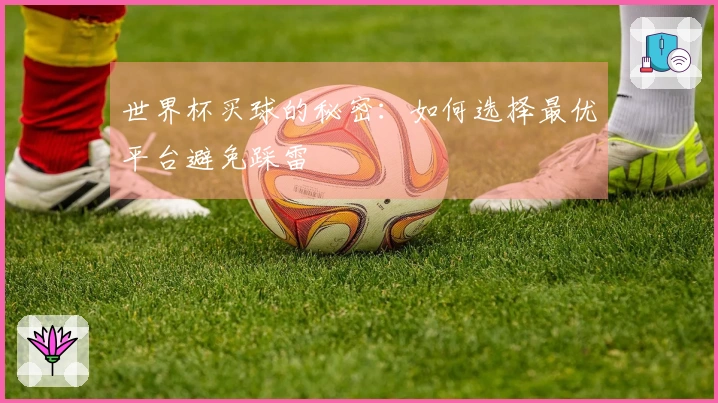 世界杯买球的秘密：如何选择最优平台避免踩雷