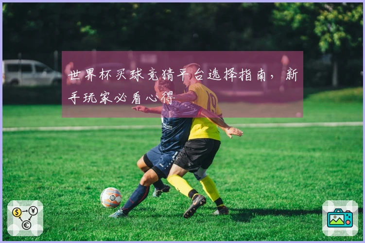 世界杯买球竞猜平台选择指南，新手玩家必看心得