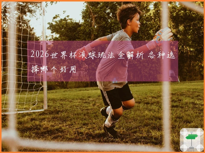 2026世界杯滚球玩法全解析 各种选择哪个好用